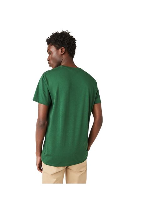 TH6709132 VERDE lacoste | TH6709132 VERDE